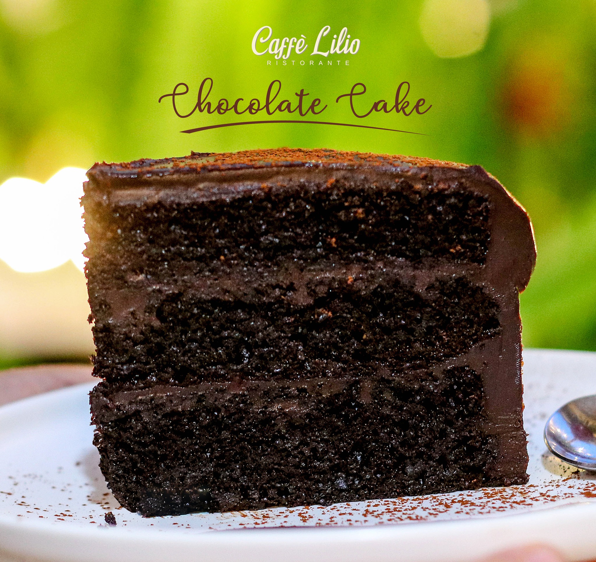 Chocolate Cake - Slice