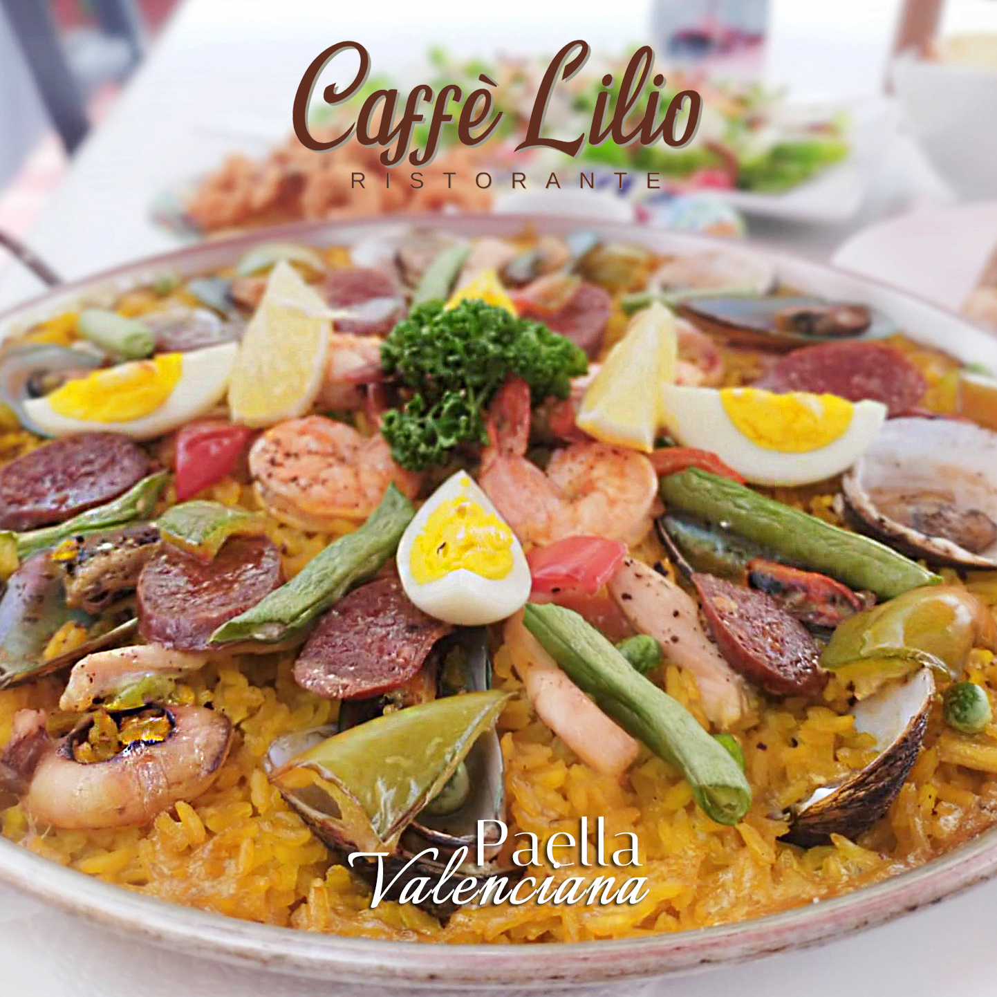 Paella Valenciana (Medium)